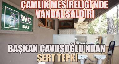 Çamlık Mesireliği’nde Vandal Saldırı: Başkan Çavuşoğlu’ndan Sert Tepki