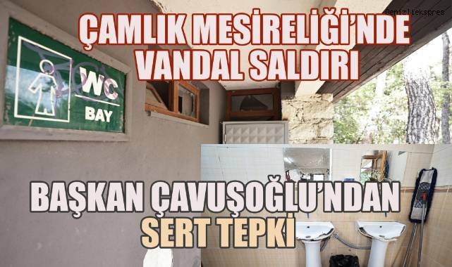 Çamlık Mesireliği’nde Vandal Saldırı: Başkan Çavuşoğlu’ndan Sert Tepki