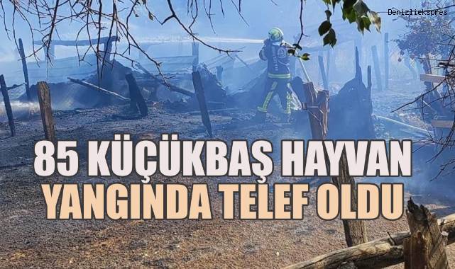 Çıkan Yangında 85 Küçükbaş Hayvan Telef Oldu