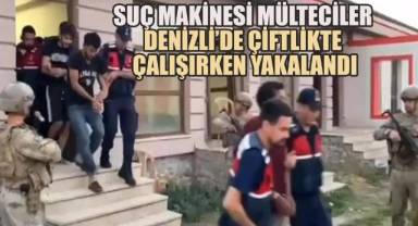 Denizli'de bir çiftlikte çalışmaya başlayan mülteciler, yataklarında uyurken yakalandı