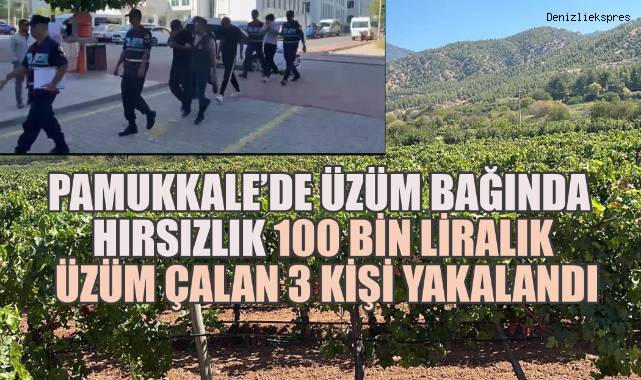 Pamukkale'de Üzüm Bağında Seri Hırsızlık, 100 Bin Liralık Üzüm Çalan Şüpheliler Yakalandı