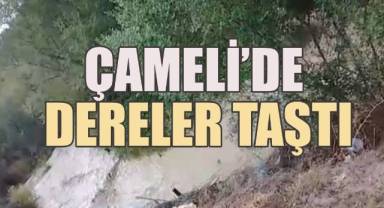 Yoğun Yağış Çameli'de dereleri taşırdı
