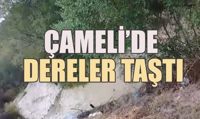 Yoğun Yağış Çameli'de dereleri taşırdı