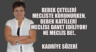 Bebek Çeteleri Mecliste Korunurken, Bebek Katilleri Meclise Davet Ediliyor! Ne Meclis Be!..