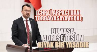 CHP'li Şeref Arpacı, 