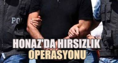 Honaz'da Hırsızlık Operasyonu