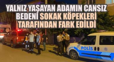 Yalnız Yaşayan Adamın Cansız Bedeni Sokak Köpekleri Tarafından Fark Edildi