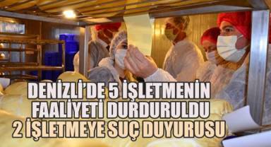 5 İşletmenin Faaliyeti Durduruldu, 2 İşletmeye Suç Duyurusu