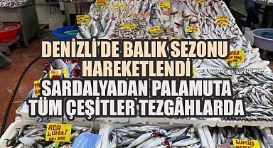 Denizli'de Balık Sezonu Hareketlendi: Sardalyadan Palamuta Tüm Çeşitler Tezgâhlarda