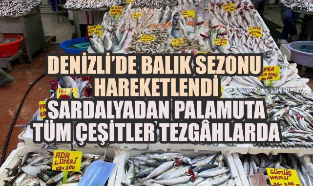 Denizli'de Balık Sezonu Hareketlendi: Sardalyadan Palamuta Tüm Çeşitler Tezgâhlarda