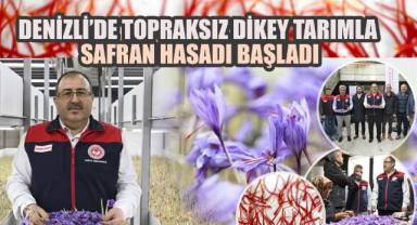 Denizli'de Topraksız Dikey Tarımla Safran Hasadı Başladı