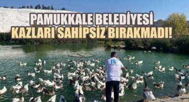 Kocaçukur'da Kazlar Kaderine Terk Edildi: Pamukkale Belediyesi Sahipsiz Bırakmadı!