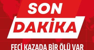 Kontrolden çıkan araç tarlaya savruldu; 1 ölü