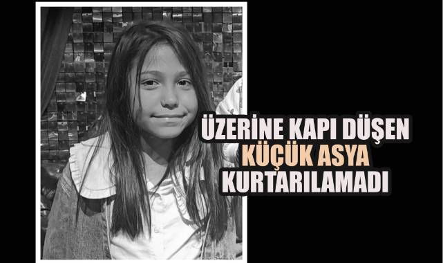 Küçük Asya Talihsiz Kazada Hayatını Kaybetti
