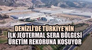 Sarayköy'deki Jeotermal Tarım Bölgesinde Üretim