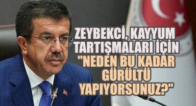 Zeybekci'den Kayyum Tartışmalarına Sert Çıkış: