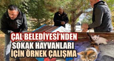 Çal Belediyesi'nden Sokak Hayvanları İçin Örnek Çalışma