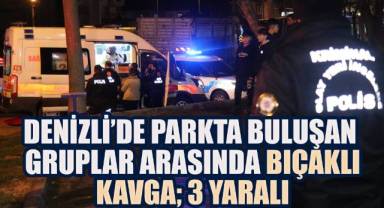 Denizli'de Parkta Buluşan Gruplar Arasında Bıçaklı Kavga: 3 Yaralı