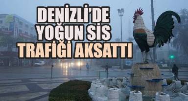 Denizli'de Yoğun Sis Trafiği Aksattı