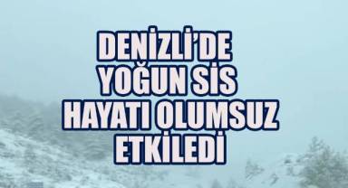 Denizli'de Yoğun Sis ve Kar Yağışı Nedeniyle Sürücülere Önemli Uyarı
