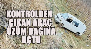 Kontrolden çıkan araç üzüm bağına uçtu