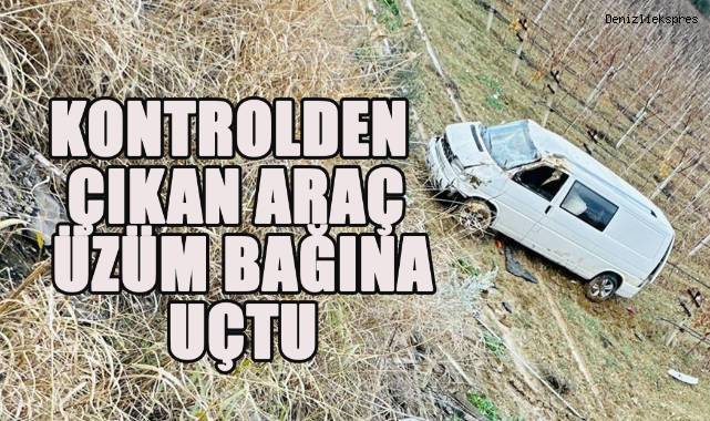 Kontrolden çıkan araç üzüm bağına uçtu