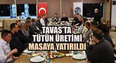 Tavas'ta Tütün Üretimi Masaya Yatırıldı
