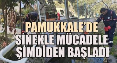 Başkan Ertemur: Sivrisinekle Mücadelede Kararlıyız!
