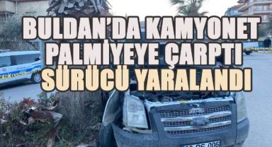 Buldan’da Kamyonet Palmiyeye Çarptı: Sürücü Yaralandı