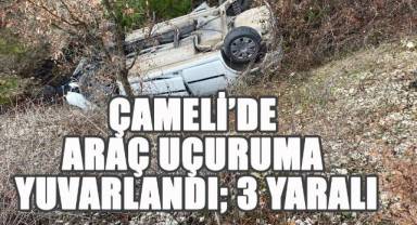 Çameli'de araç uçuruma yuvarlandı, 1'i ağır, 3 yaralı