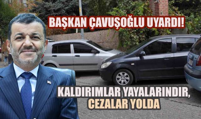 Denizli'de Kaldırımlara ve Park Düzenine Sıkı Denetim, Yolları kirletenlere Ceza