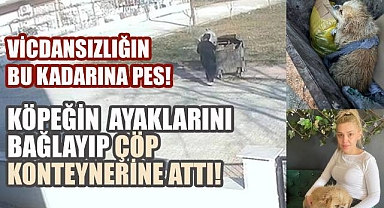 Denizli'de Vicdansızlık: Ayakları Bağlı Köpeği Çöp Konteynerine Attı!