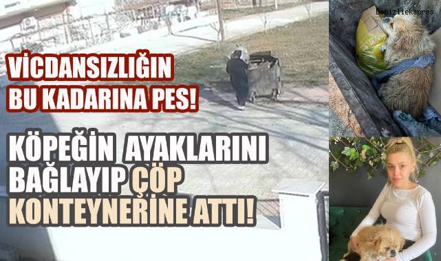Denizli'de Vicdansızlık: Ayakları Bağlı Köpeği Çöp Konteynerine Attı!