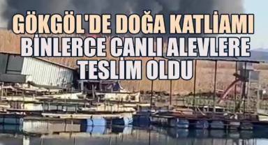 Gökgöl'de doğa katliamı: Binlerce canlı alevlere teslim oldu
