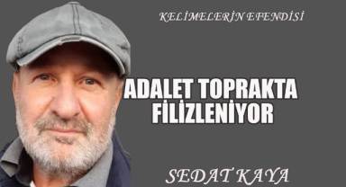 ADALET TOPRAKTA FİLİZLENİYOR