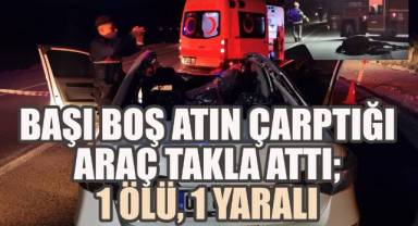 Çivril'de başıboş at faciası: Yolcu hayatını kaybetti, sürücü yaralı