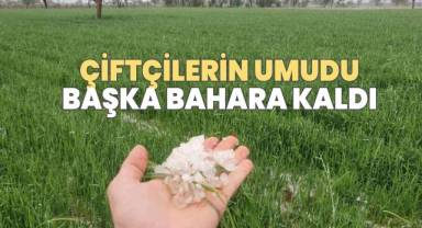 Güneyli çiftçilerin umudu başka bahara kaldı