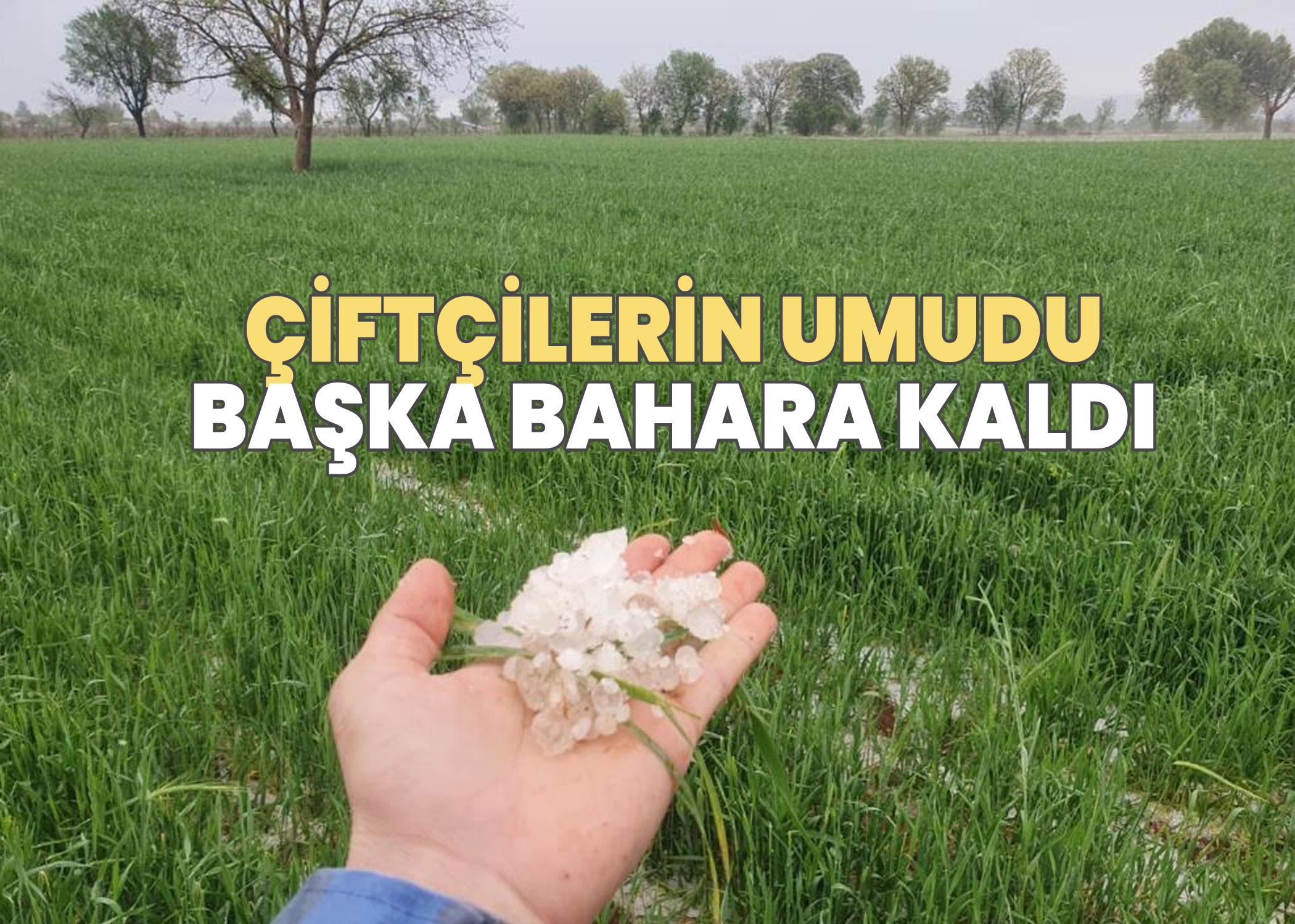 Güneyli çiftçilerin umudu başka bahara kaldı