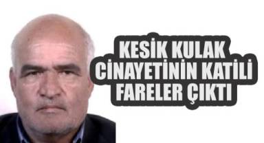 Cinayet Sanıldı, Katiller Fareler Çıktı!