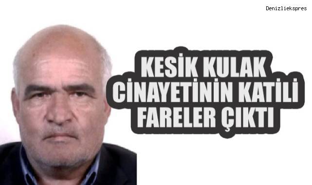 Cinayet Sanıldı, Katiller Fareler Çıktı!