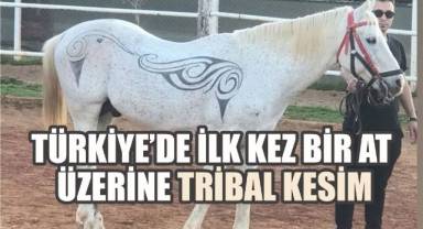 Gören İnanamadı: At Üzerinde Sanat!