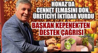 Honaz'da Cennet Elması Üreticisini Don ve Dolu Yaktı, Hükümet Sırtını Döndü