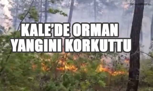 Kale'de Felaketin Eşiğinden Dönüldü: Orman Yangını 2 Saatte Kontrol Altına Alındı