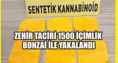 Zehir taciri 1500 içimlik bonzai ile yakalandı