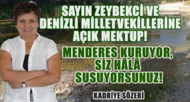 Açık Mektup: Sayın Zeybekci ve AKP'li Denizli Milletvekilleri, Menderes Kuruyor, Siz Hâlâ Susuyorsunuz!