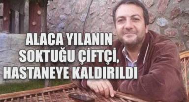 Alaca yılanın soktuğu çiftçi, hastaneye kaldırıldı: Durumu iyi