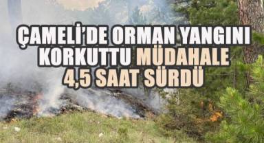 Çameli’de Orman Yangını Korkuttu: Müdahale 4,5 Saat Sürdü