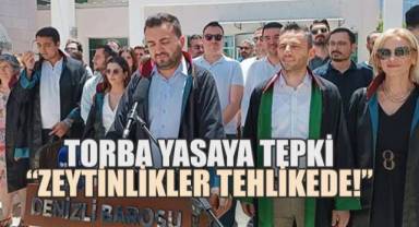 Denizli Barosu’ndan TBMM’de Görüşülen Torba Yasa Teklifine Sert Tepki: “Zeytinlikler, Meralar, Ormanlar Tehdit Altında”