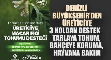 Denizli Büyükşehir'den üreticiye 3 koldan destek Tarlaya tohum, bahçeye koruma, hayvana bakım