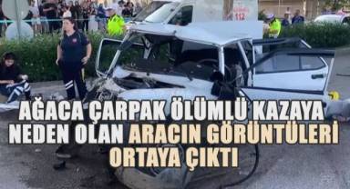 Kaldırıma Çarptı, Havalanıp Ağaca Saplandı: Denizli'de Feci Kaza Kamerada